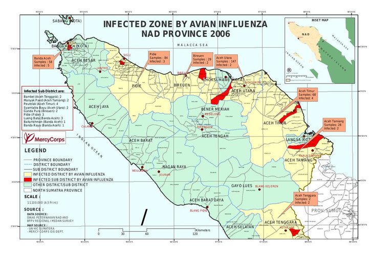 Cuplikan layar peta : Bird Flu Dissemination in Aceh(English)